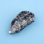 coucou suzette hair claw oyster