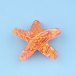 coucou suzette hair claw starfish