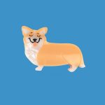 coucou suzette hair claw corgi dog