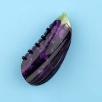 coucou suzette hair claw eggplant