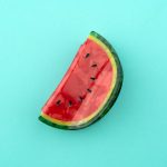 coucou suzette hair claw watermelon