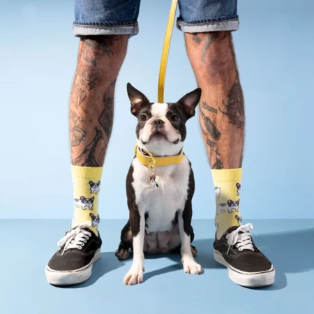 Βαμβακερες καλτσες σε κιτρινο χρωμα coucou suzette bulldog με σχεδιo σκυλο bulldog