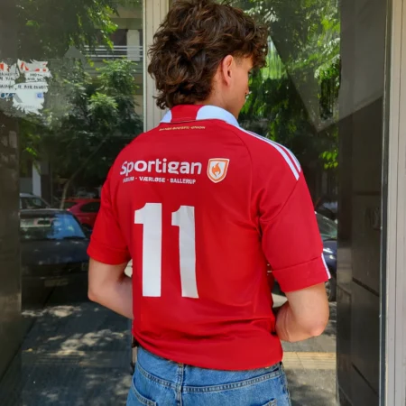 DENMARK x ADIDAS 2010-2011 Jersey S